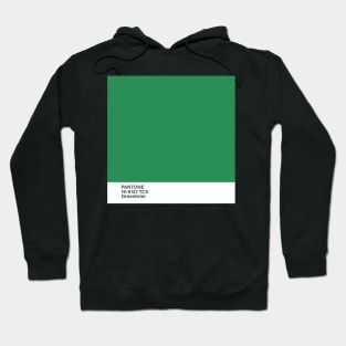 pantone 16-6127 TCX Greenbriar Hoodie